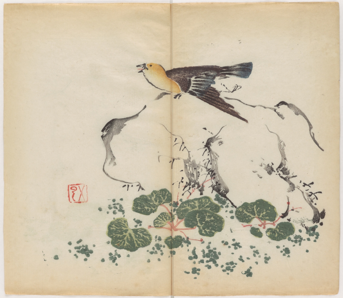 1633-olest-color-book-Shi-zhu-zhai-shu-hua-pu-38.jpg